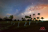 A wide field astro photo of the Milky Way rising over a coconut tree. Taken with Nikon D800E, Samyang 14mm, HDR 9 Exposures